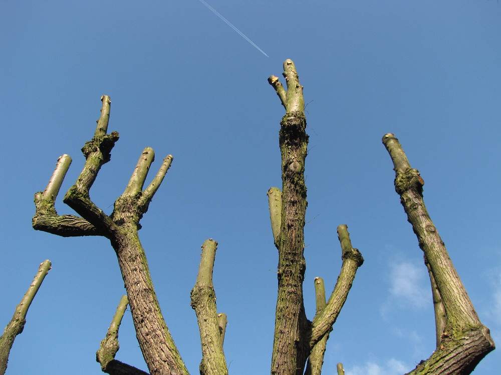 An der Alster