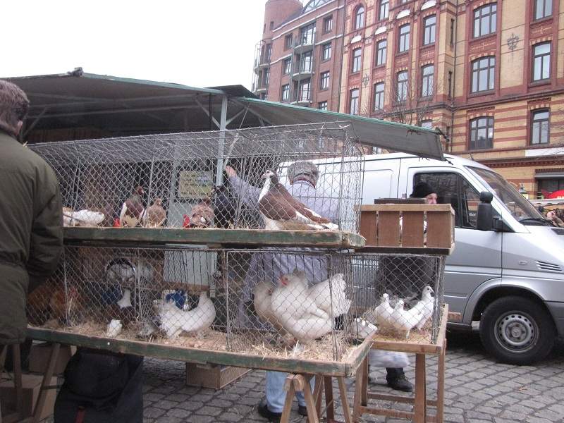 Hamburger Fischmarkt