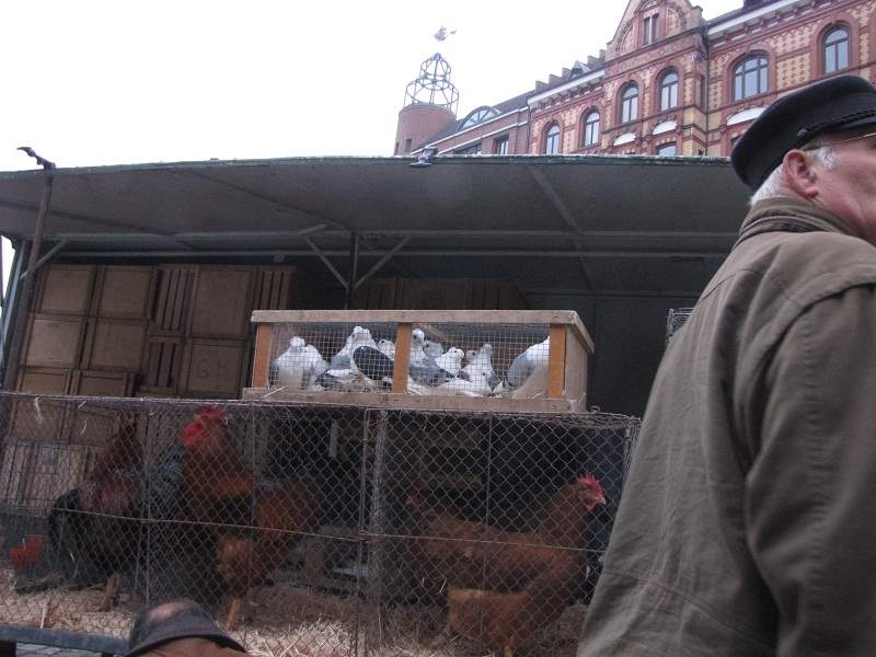 Hamburg Fischmarkt
