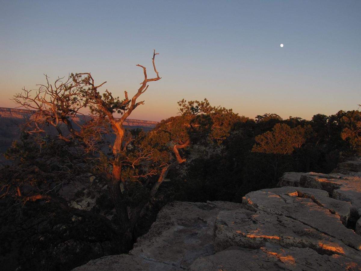 Grand Canyon am Abend