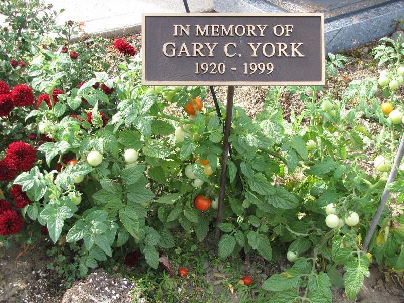Gedenktomaten