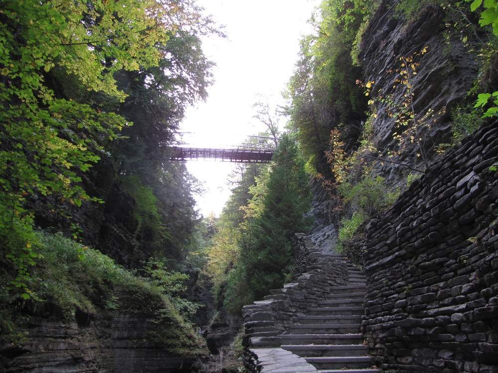  Watkins Glen State Park