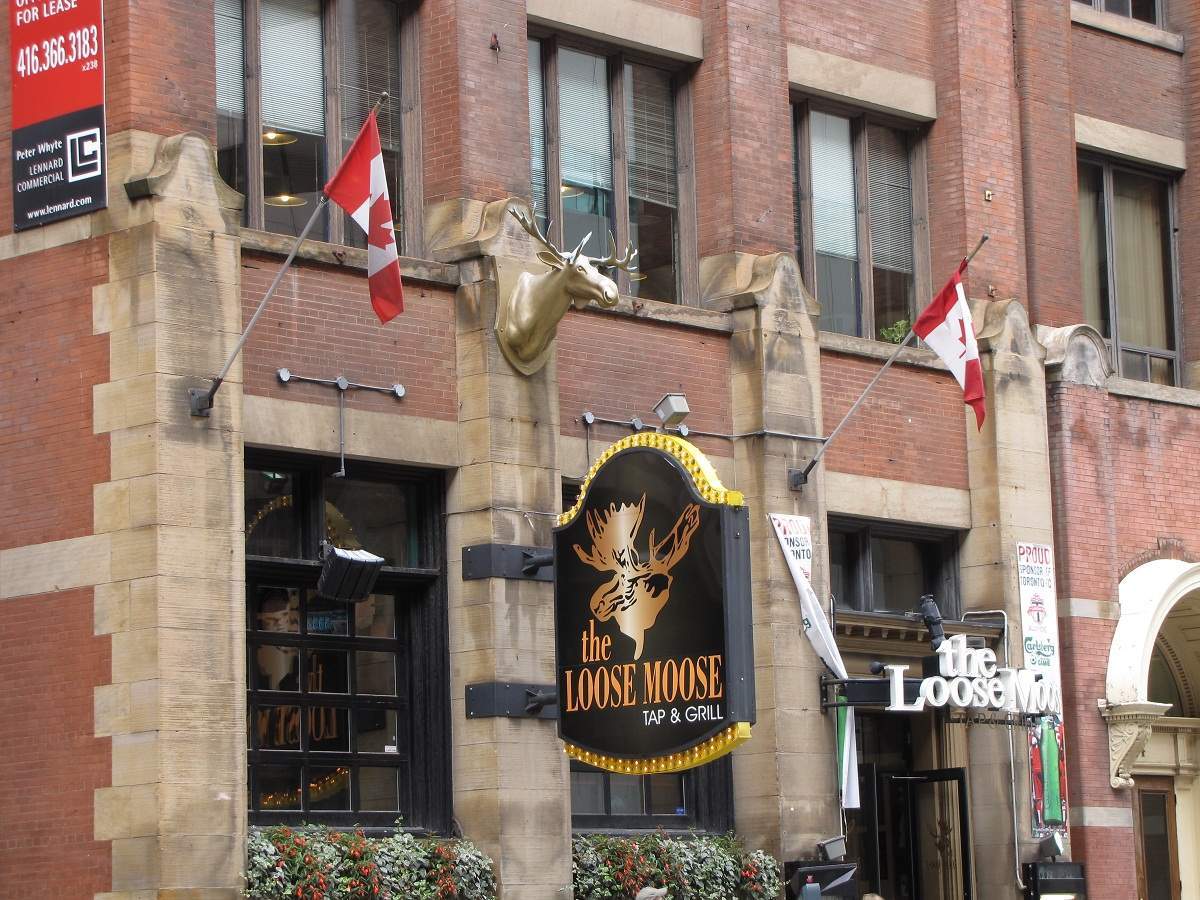 Toronto - The Loose Moose