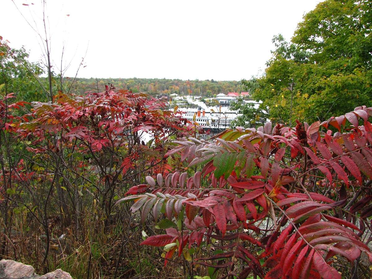 Gravenhurst