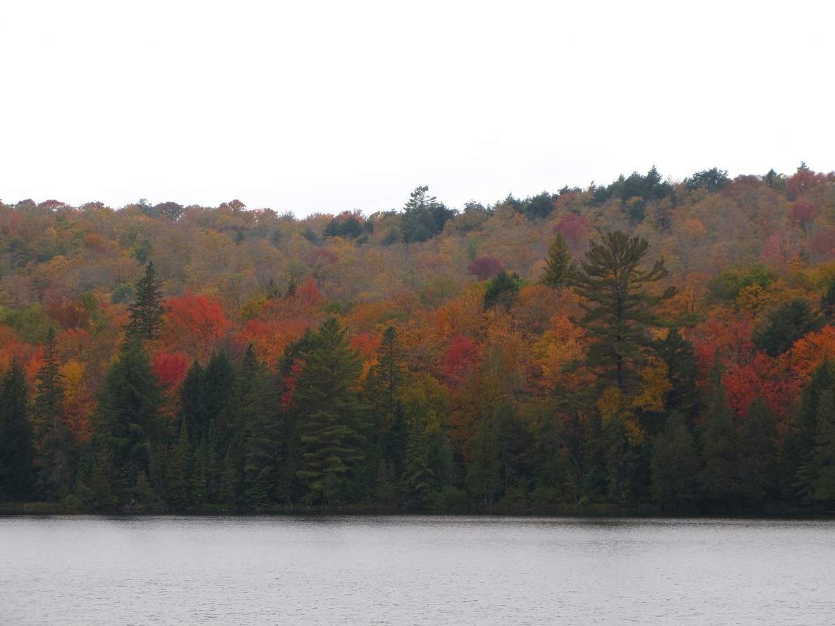 Indian Summer