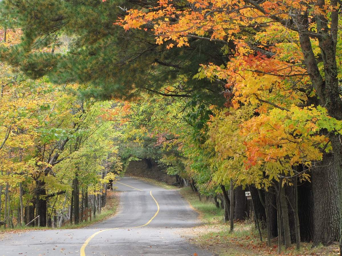 Indian Summer - Muskoka