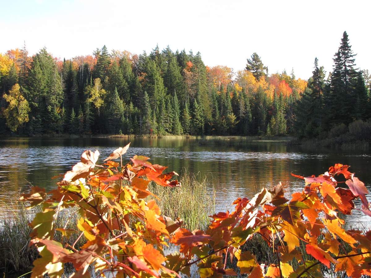 Algonquin Provincial Park