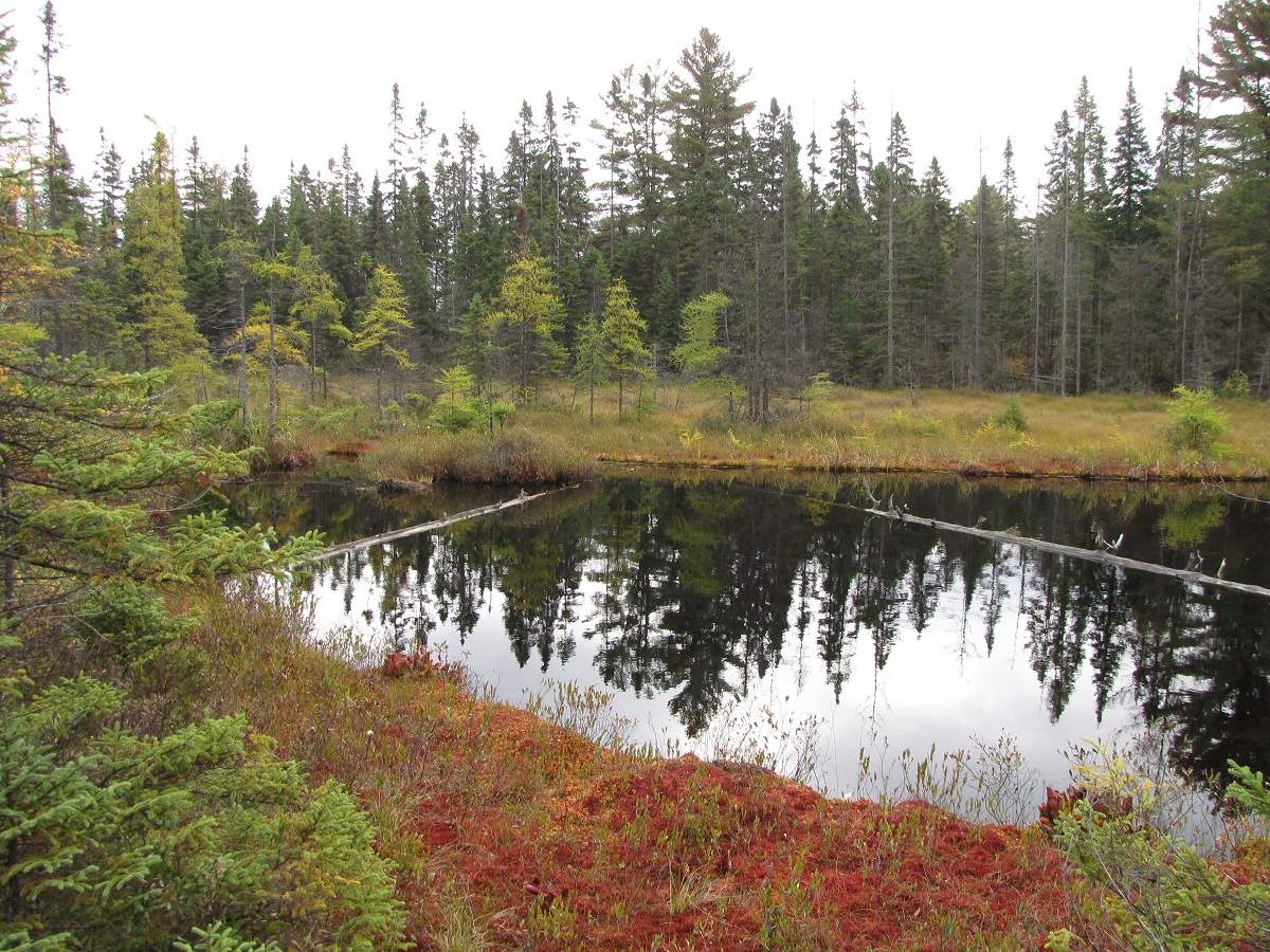 Algonquin Provincial Park