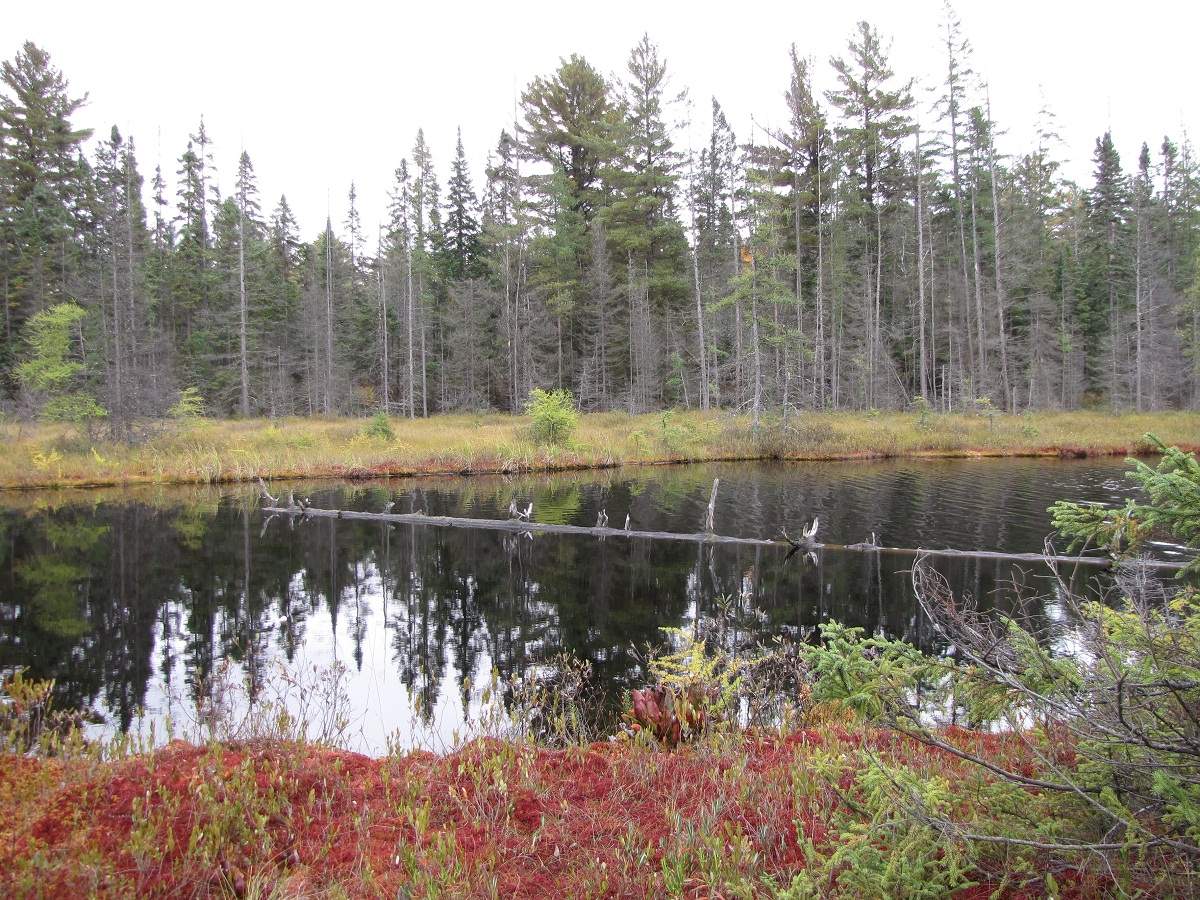 Algonquin Provincial Park