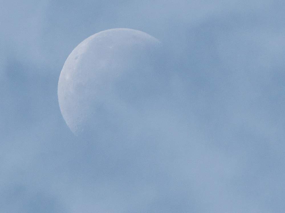 The Moon
