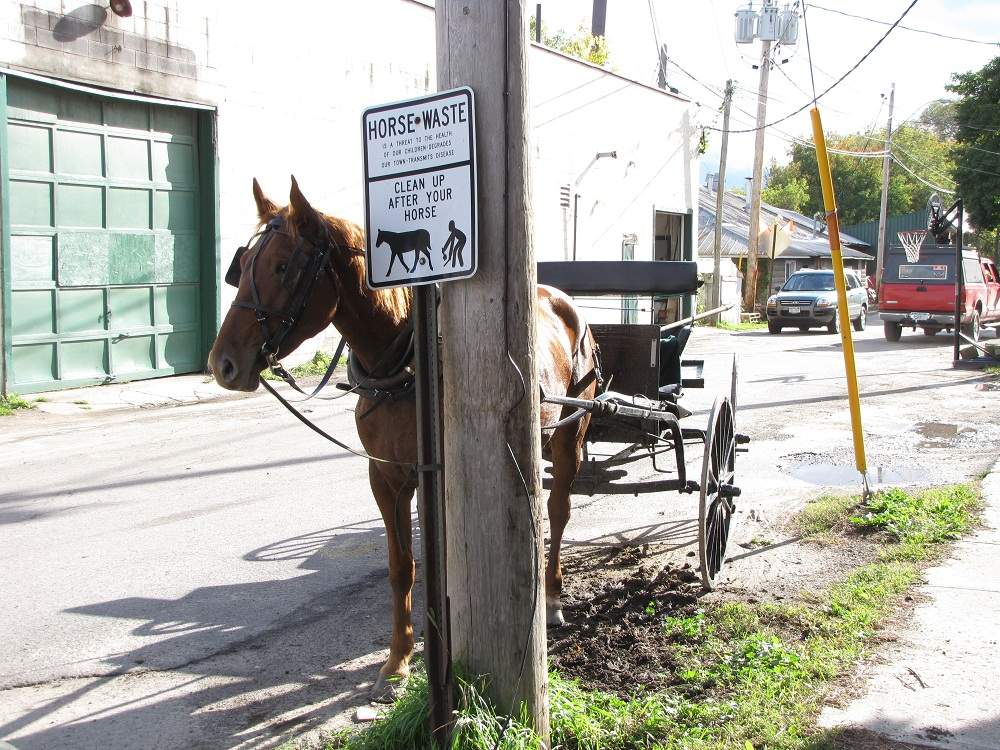 Amish in Heuvelton