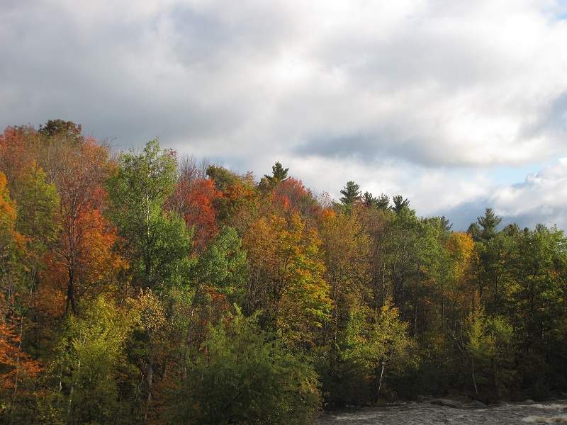 Indian Summer