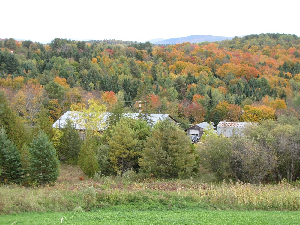 Vermont