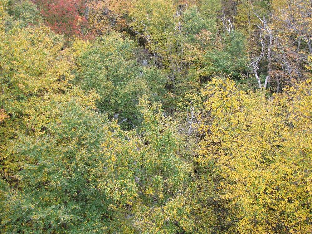 New Hampshire