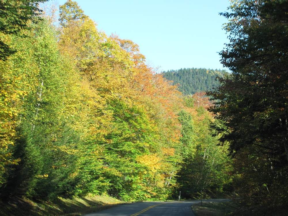 Indian Summer