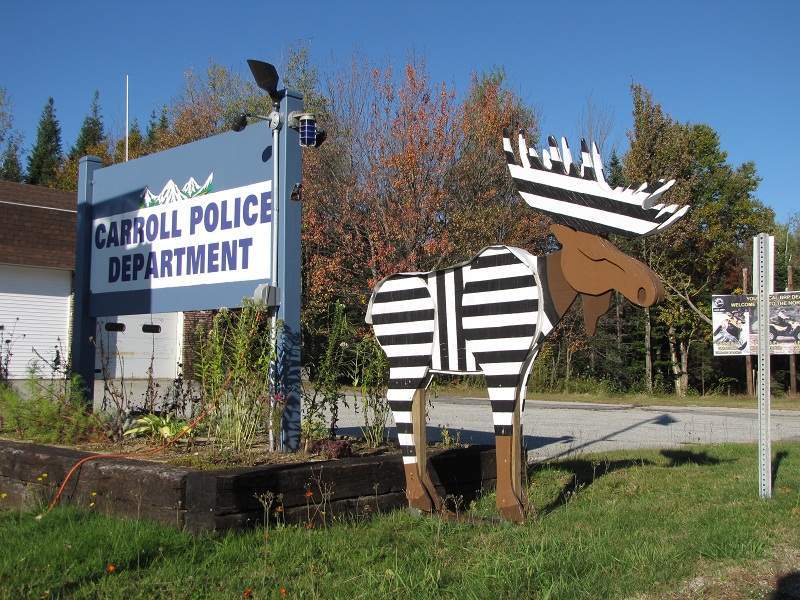 Elch. White Mountains