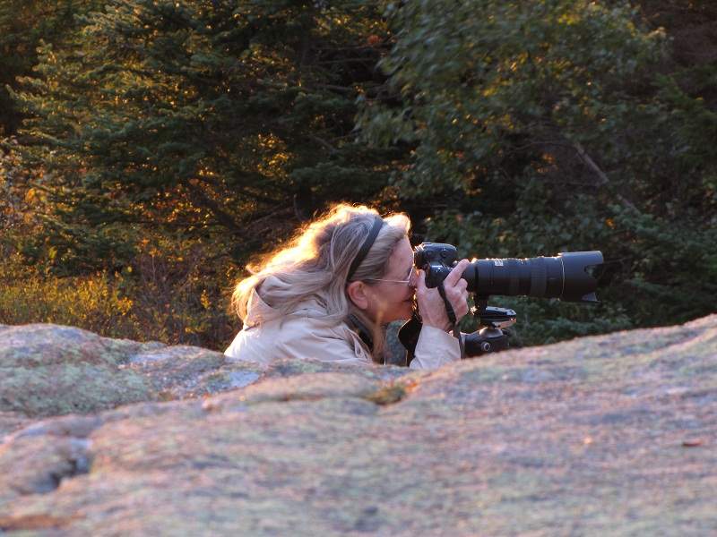 Mount Desert Island