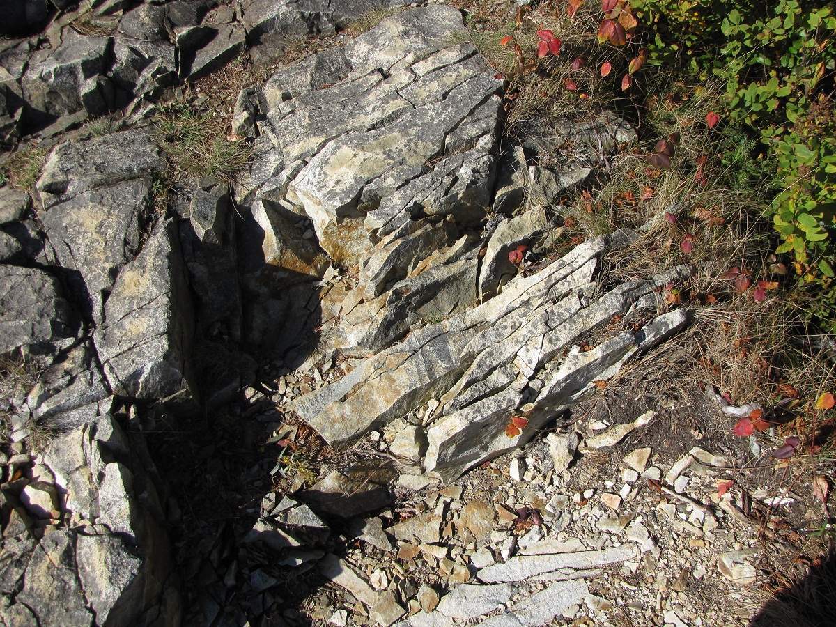 Mount Desert Island