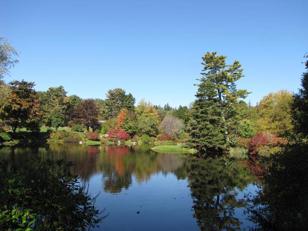 Mount Desert Island