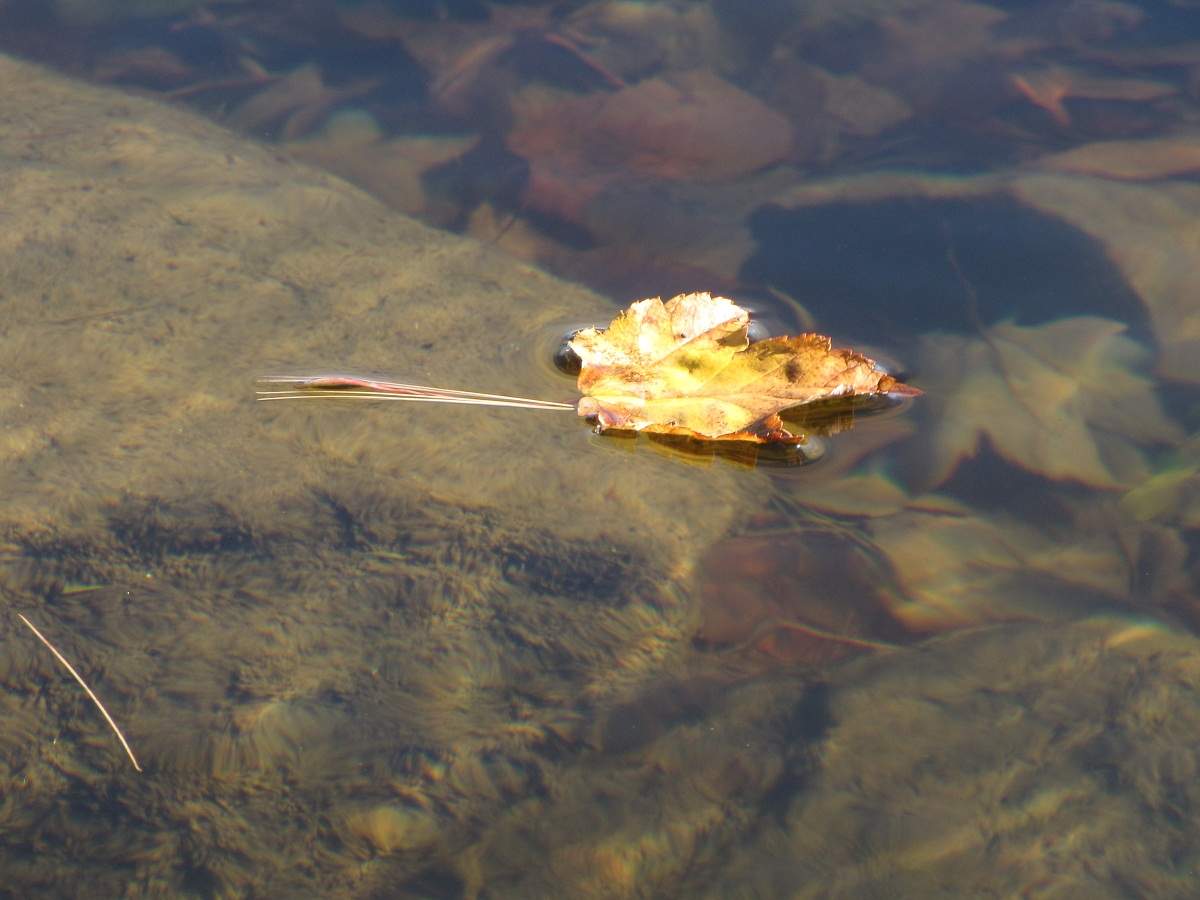 Mount Desert Island