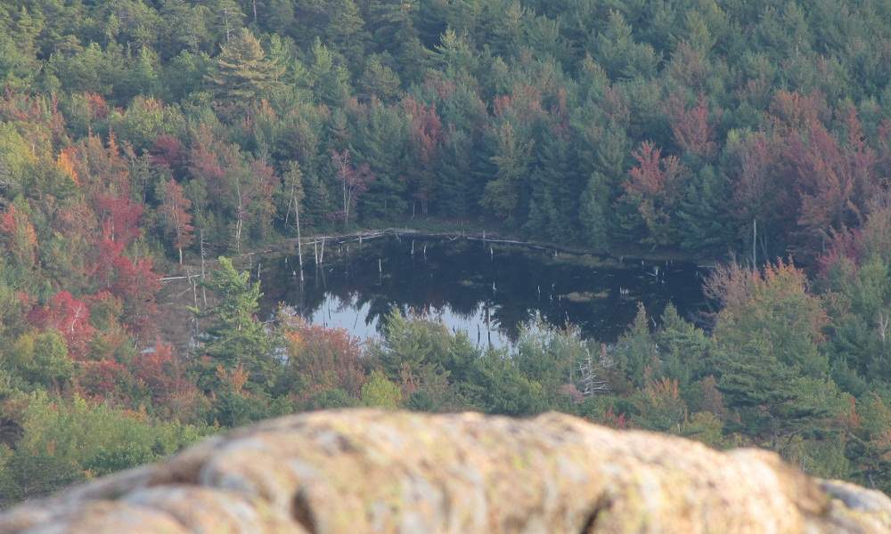 Mount Desert Island