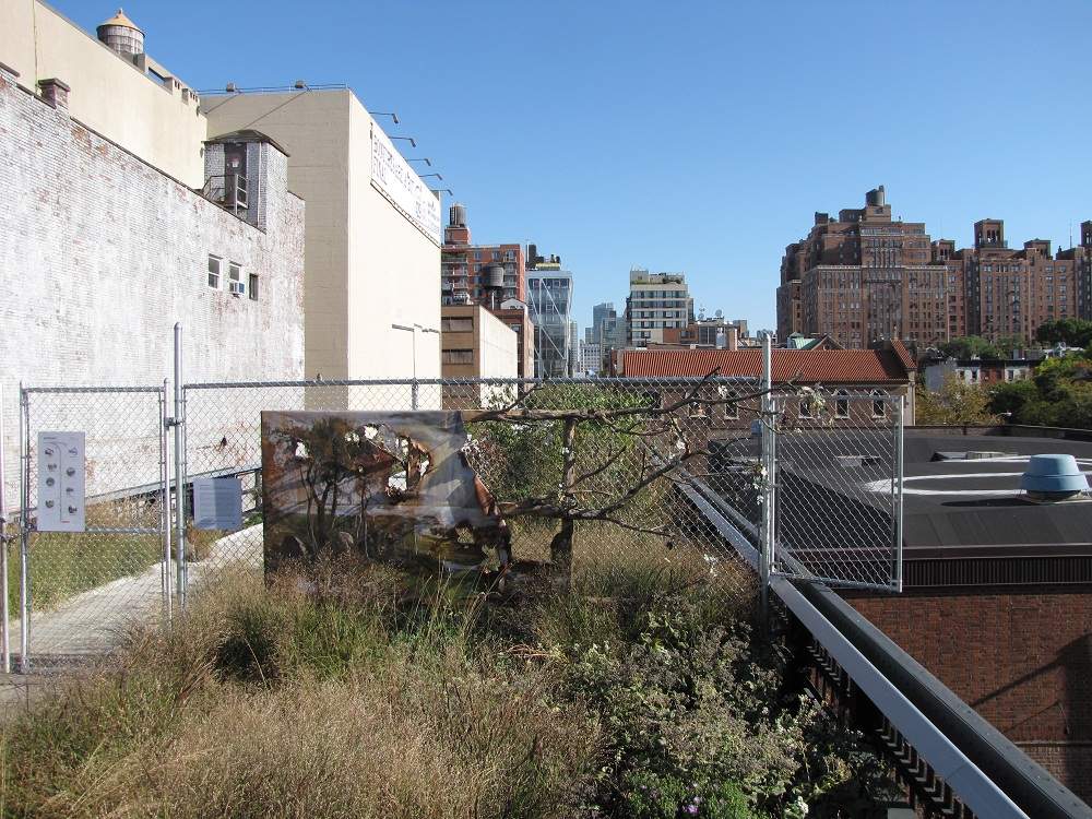  Highline Park, New York City