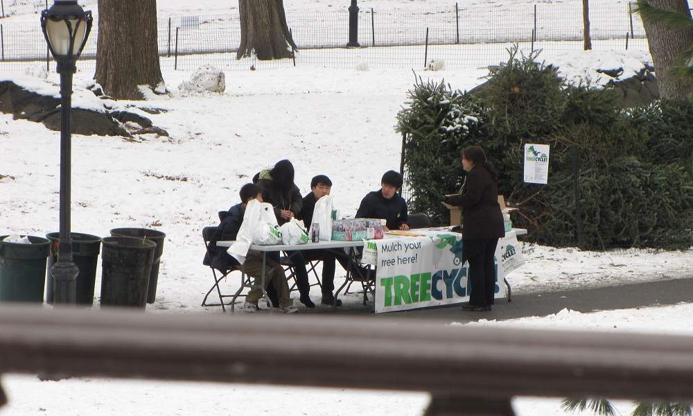 Central Winter
