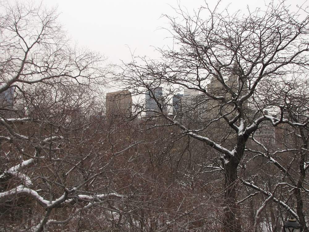 Central Park