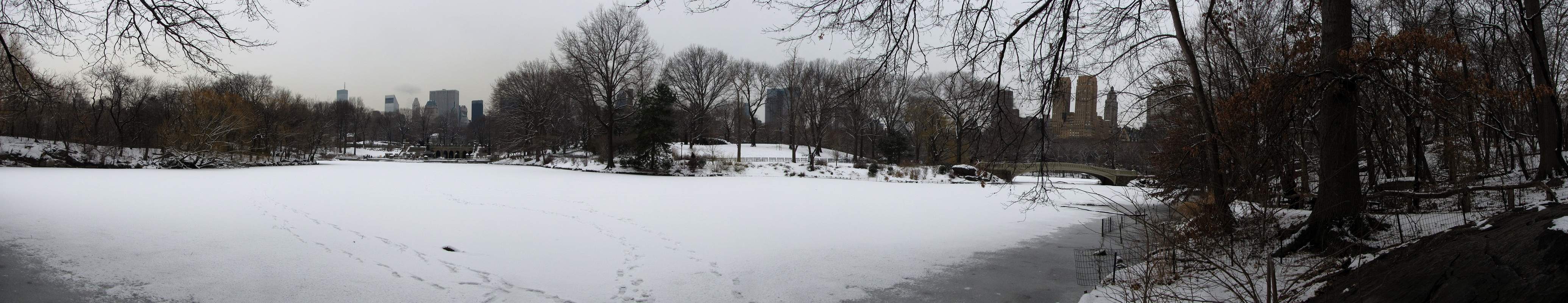 Central Park Panorama