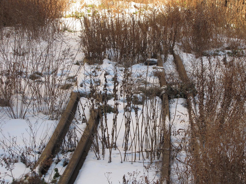 Der Highline Park