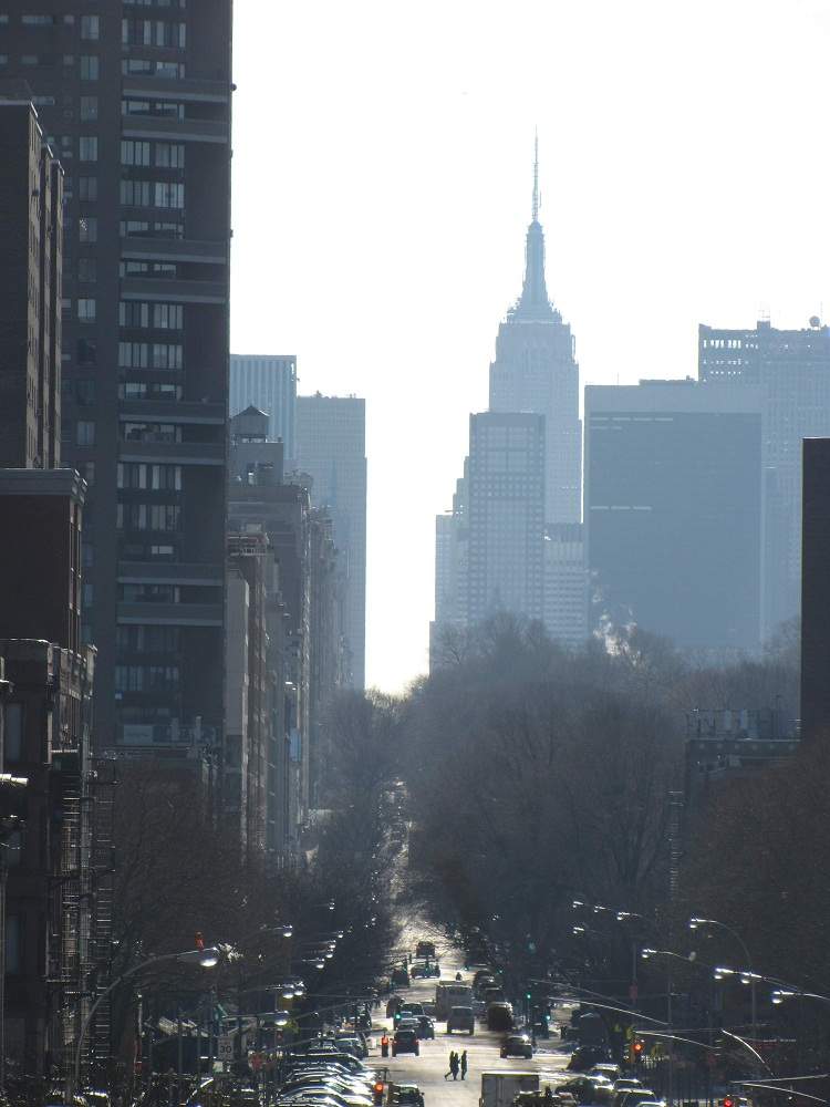 5th Avenue