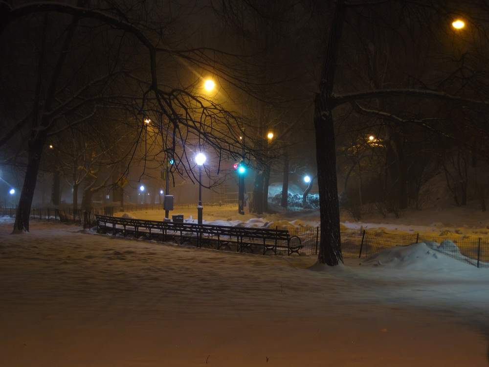 Central Park bei Nacht