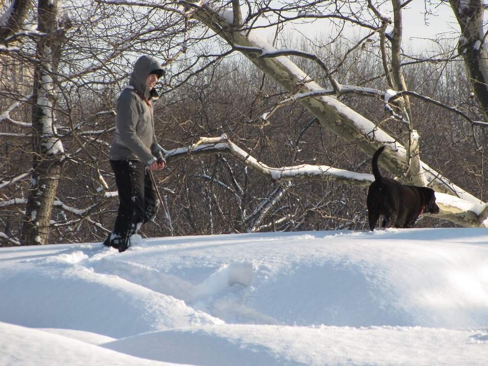 Central Park im Winter