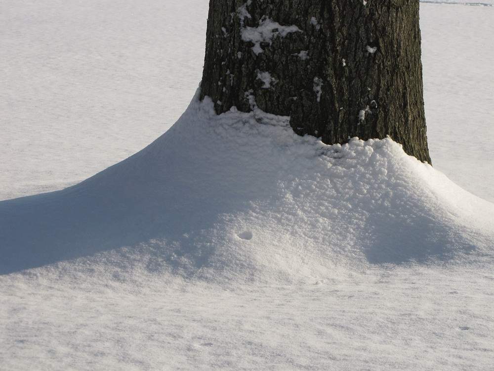 Schnee