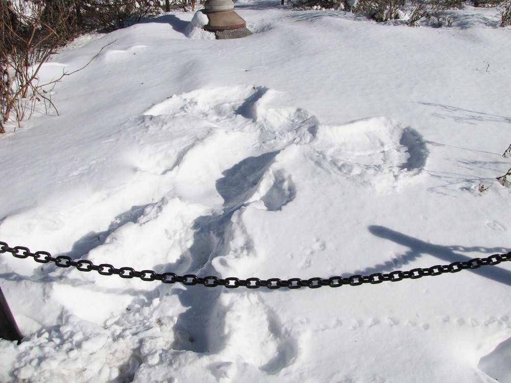 Schneeengel