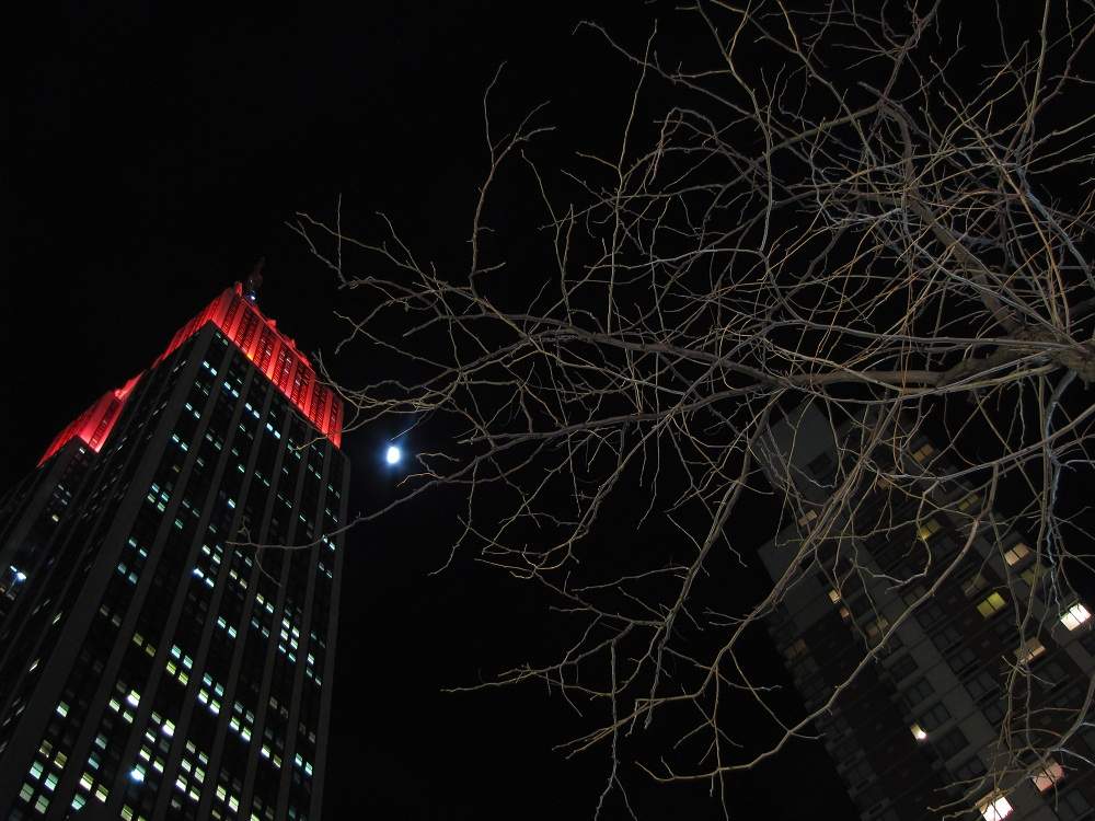 ESB