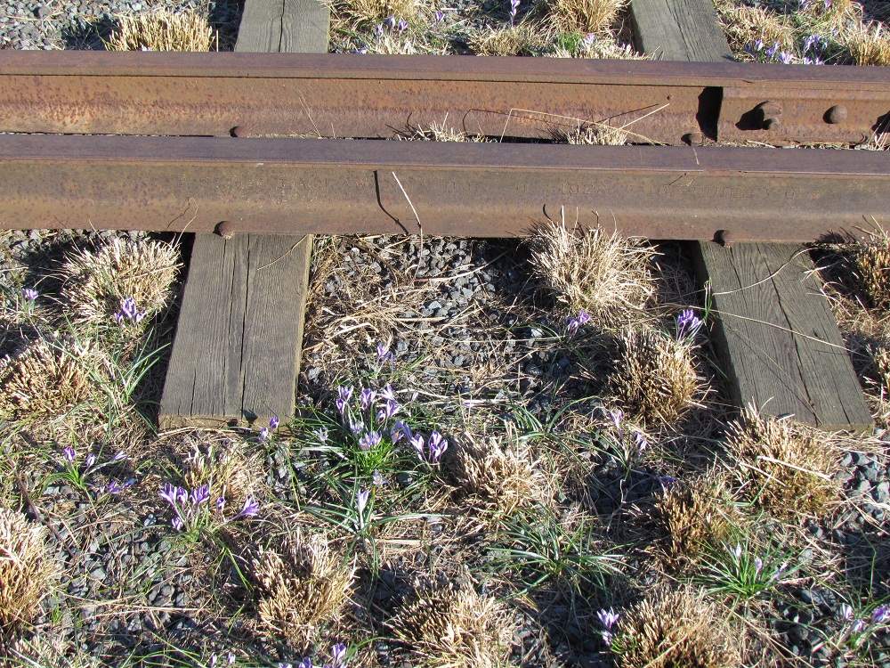 Highline