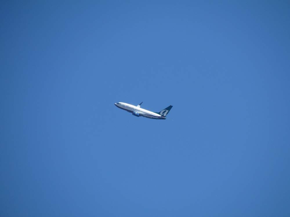 Fliegen