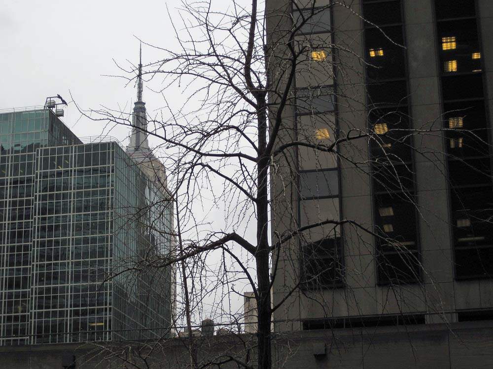 NYC Manhattan