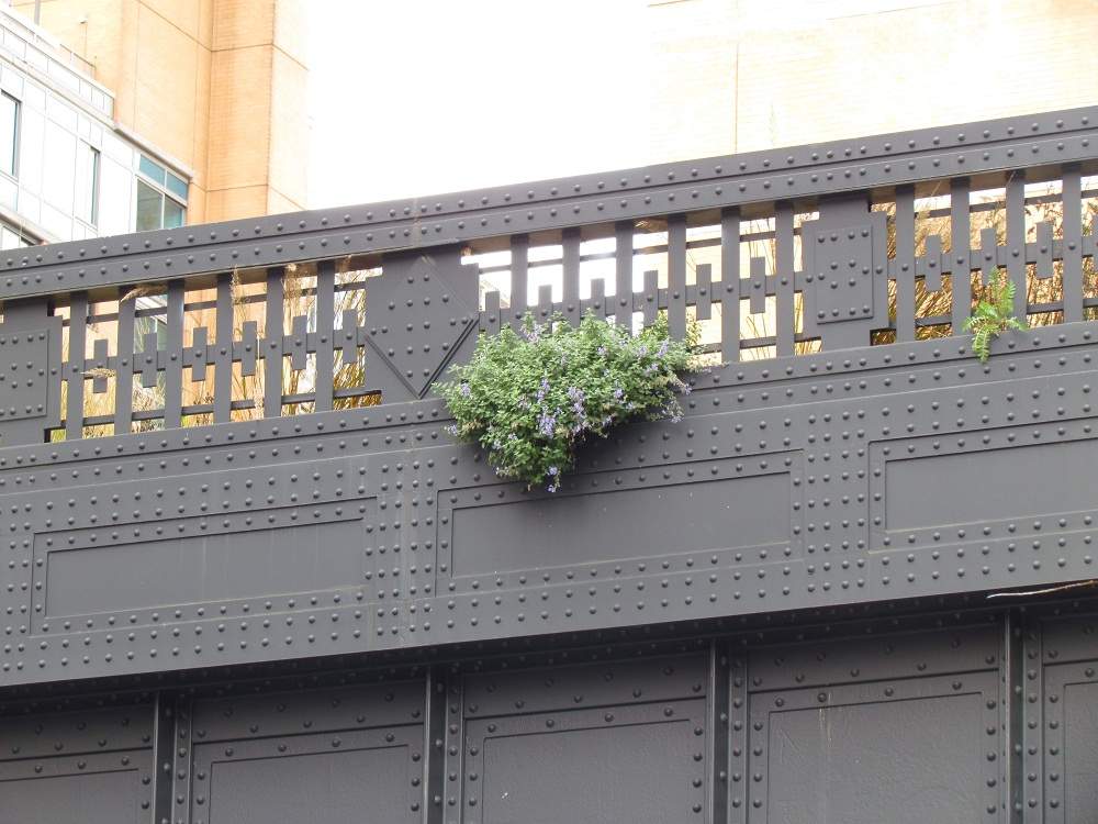 Highline